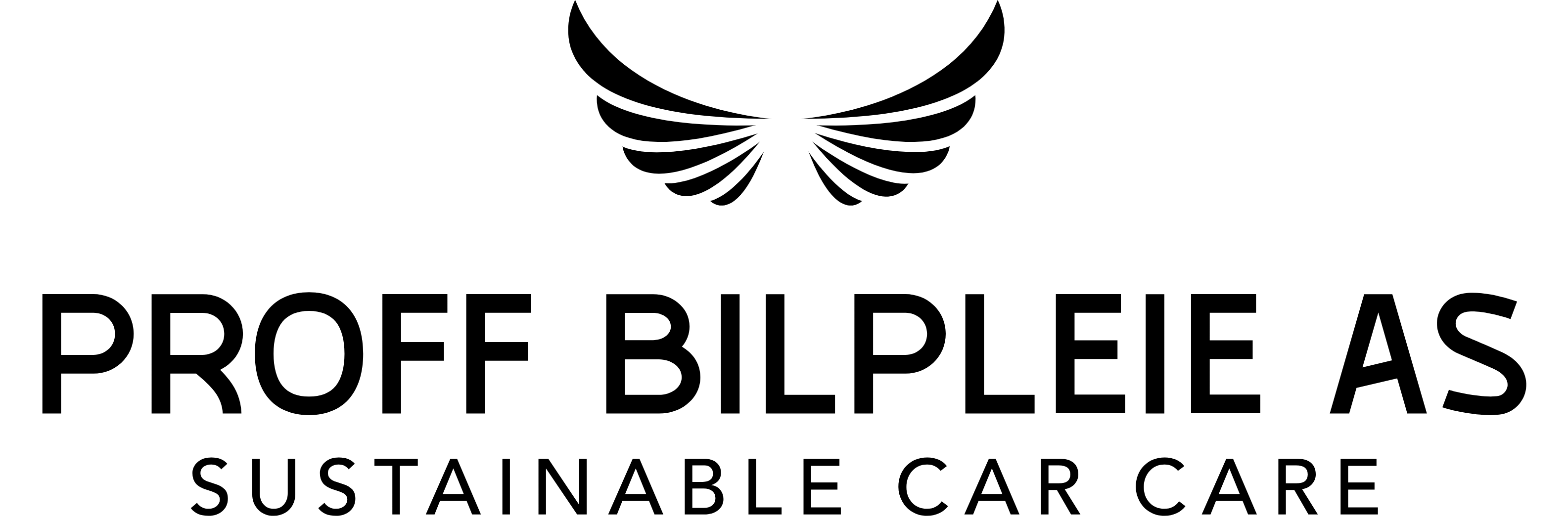 PROFF BILPLEIE